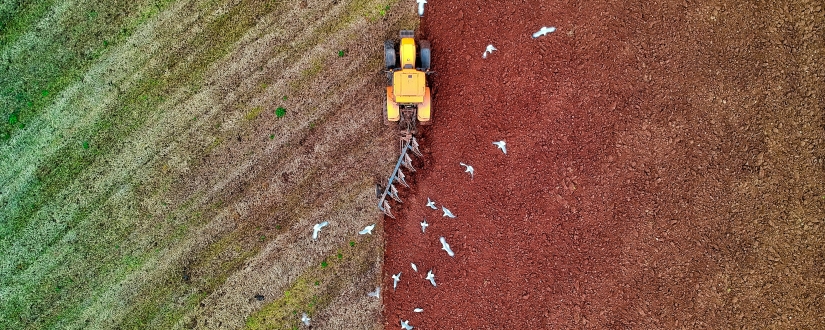 Agriculteurs : votre retraite sera-t-elle calculée sur vos 25 meilleures années ?